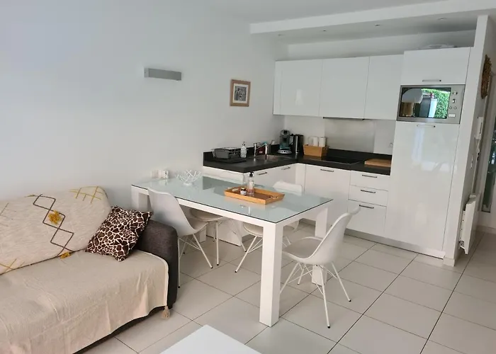 Apartment Le Lodge, T2 Classe 3 Etoiles Avec Jardin, Parking, Piscine & A 2 Pas Menton