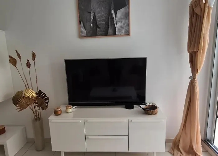 Le Lodge, T2 Classe 3 Etoiles Avec Jardin, Parking, Piscine & A 2 Pas 公寓